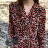 V Neck Long Sleeve print  Chiffon Loose Dress Women Fashion Tide