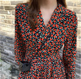 V Neck Long Sleeve print  Chiffon Loose Dress Women Fashion Tide